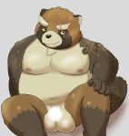  2020 5groo5 anthro balls belly blush brown_body brown_fur canid canine fur genitals gyobu hi_res kemono male mammal moobs navel nipples overweight overweight_male raccoon_dog scar simple_background sitting solo tanuki tokyo_afterschool_summoners video_games 