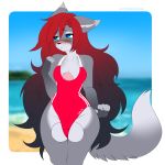  1:1 anthro balls beach berruchan big_balls big_penis blue_eyes blush breasts calm. canid canine canis clothed clothing digital_media_(artwork) erection fur genitals gynomorph hailey_marie hair hi_res huge_penis humanoid_genitalia humanoid_penis intersex mammal multicolored_hair one-piece_swimsuit penis seaside solo swimwear thick_thighs two_tone_hair wolf 