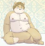  2020 anthro barely_visible_genitalia barely_visible_penis belly blush brown_body brown_fur canid canine canis domestic_dog fur genitals humanoid_hands kemono male mammal moobs navel nipples overweight overweight_anthro overweight_male penis pubes sitting solo tamakikun 