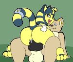  2017 3_toes animal_crossing animal_genitalia animal_penis ankha_(animal_crossing) anthro anthro_on_anthro anthro_penetrated anthro_penetrating anthro_penetrating_anthro anus balls big_butt big_penis black_hair black_nose black_pawpads black_penis black_stripes blue_eyes bodily_fluids brown_body brown_eyes brown_fur butt canid canine canine_penis canis cowgirl_position cum cum_from_pussy cum_in_pussy cum_inside cum_on_penis domestic_cat domestic_dog felid feline felis female female_penetrated fur genital_fluids genitals green_background grey_eyes hair heterochromia hi_res interspecies knot looking_back looking_down looking_pleasured looking_up male male/female male_penetrating male_penetrating_female mammal nintendo on_bottom on_top open_mouth pawpads penetration penis pussy sex shen shenhibiki simple_background smile smirk spread_legs spreading straddling striped_body striped_fur stripes tail_ring tan_balls tan_body tan_fur toes tongue tongue_out vaginal vaginal_penetration video_games wrappings yellow_body yellow_fur 