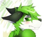 anthro blush canid canine icon luxuria male mammal 