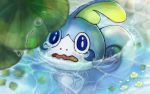  afloat_leaves blue_eyes commentary_request flower gen_8_pokemon leaf no_humans open_mouth partially_submerged pokemon pokemon_(creature) setta_shu sobble solo tearing_up tongue water wavy_mouth 