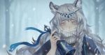  1girl animal_ear_fluff animal_ears arknights bell braid cape capelet closed_mouth hakuyo_99 highres holding jewelry long_hair looking_at_viewer necklace pramanix_(arknights) silver_eyes silver_hair solo turtleneck 
