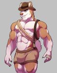  2017 5_fingers abs anthro biceps biped black_claws black_eyebrows blue_eyes bottomwear boxers_(clothing) brown_body brown_bottomwear brown_clothing brown_fur brown_nose brown_underwear bulge canid canine canis claws clothed clothing costume digital_media_(artwork) domestic_dog eyebrows fingers fur grey_background hat headgear headwear hi_res husky indiana_jones knuxlight looking_at_viewer male mammal multicolored_body multicolored_fur muscular muscular_anthro muscular_male nordic_sled_dog pecs pinup portrait pose rope siberian_husky simple_background smile smirk solo spitz standing teeth three-quarter_portrait topless trent_whaley two_tone_body two_tone_fur underwear whip white_body white_fur white_tail 