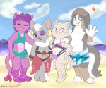  anthro beach boxyart breasts bulge canid canine canis cinccino clothed clothing cock_sock digital_media_(artwork) domestic_cat domestic_dog erection felid feline felis female group legwear male mammal nintendo outside penis_clothing pok&eacute;mon pok&eacute;mon_(species) public seaside socks swimwear video_games 