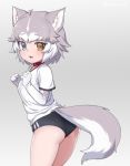  1girl :3 adapted_costume animal_ear_fluff animal_ears ass black_shorts blue_eyes buruma collar cowboy_shot dog_(mixed_breed)_(kemono_friends) dog_ears dog_tail elbow_gloves eyebrows_visible_through_hair fang gloves grey_hair heterochromia kemono_friends multicolored_hair nyifu open_mouth red_collar shirt short_hair short_sleeves shorts solo t-shirt tail white_gloves white_hair white_shirt yellow_eyes 