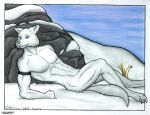  anthro canid canine canis male mammal muscular nude reclining singedrac solo wolf 