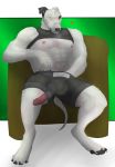 absurd_res animal_genitalia animal_penis anthro bandage black_clothing blush bodily_fluids bulge bull_terrier canid canine canine_penis canis chair clothed clothing digital_media_(artwork) domestic_dog erection erection_under_clothing floppy_ears frottage furniture genital_fluids genitals green_background half-closed_eyes handwear head_tuft hi_res hunting_dog jenklin_(character) jenklinbullterrier_(artist) knot male mammal masturbation muscular muscular_male narrowed_eyes nipples painting pawpads penis precum sex simple_background sitting solo terrier tuft underwear 