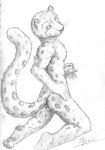  christmas drawing felid holidays kissing mammal mistletoe monochrome pantherine pencil_(disambiguation) plant sketch snow_leopard 