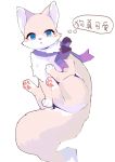  2019 absurd_res ambiguous_gender blue_eyes domestic_cat felid feline felis feral fur hi_res looking_at_viewer mammal pawpads ribbons simple_background solo thought_bubble wanko0487 white_background white_body white_fur 