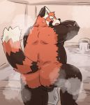  2020 ailurid anthro balls belly blush bodily_fluids butt fur genitals kemono kota&acute; male mammal overweight overweight_male red_body red_fur red_panda solo sweat 