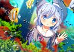  animal aqua_eyes blue_hair blush chinomaron fish gochuumon_wa_usagi_desu_ka? kafuu_chino water 