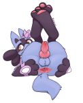  accessory animal_genitalia animal_penis anthro anus balls blush bodily_fluids butt canine_penis erection flower genital_fluids genitals hair_accessory hair_bow hair_ribbon hi_res knot looking_aside lucario lying male nintendo nude on_back paws penis plant pok&eacute;mon pok&eacute;mon_(species) prazite precum presenting presenting_hindquarters ribbons shugowah simple_background solo spread_anus spread_butt spreading video_games white_background yellow_eyes 
