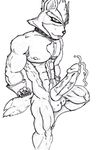  k3rry star_fox tagme wolf_o&#039;donnell 