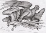  01phoenix01 2019 accipitrid accipitriform ambiguous/ambiguous ambiguous_gender avian bird duo eagle european_mythology eye_contact feral flying graphite_(artwork) greek_mythology looking_at_another monochrome mythological_avian mythological_firebird mythology outside pencil_(artwork) phoenix shaded traditional_media_(artwork) 