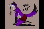  anthro black_bars blackbatwolf canid canine canis clothing collar domestic_dog elkhound fur kneeling leash leash_and_collar male mammal pawalo pillarbox purple_body purple_fur solo spitz underwear waiting walkies 