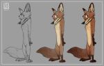  2020 anthro border brown_body brown_fur canid canine chest_tuft disney featureless_crotch fox fur gloves_(marking) grey_background hi_res inner_ear_fluff leg_markings male mammal markings nick_wilde nude qalcove red_fox simple_background socks_(marking) solo standing tuft white_border zootopia 
