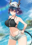  1girl arknights bangs bare_arms bare_shoulders baseball_cap bikini black_bikini blue_sky breasts ch&#039;en_(arknights) cloud commentary_request cowboy_shot day dragon_horns dragon_tail grey_shorts hair_between_eyes hands_on_hips hat heart highleg highleg_bikini horns large_breasts long_hair looking_at_viewer navel open_fly purple_hair red_eyes short_shorts shorts sidelocks sky solo standing stomach swimsuit tail thighs water white_headwear yuzuruka_(bougainvillea) 