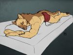  anthro boxer_briefs boxers_(clothing) brown_body brown_fur bulge canid canine canis clothed clothing domestic_dog fur german_shepherd herding_dog male mammal muscular muscular_anthro muscular_male pastoral_dog red_clothing red_underwear sleeping solo stefan_(smove) topless tsaiwolf underwear 