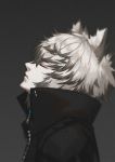  2019 animal_humanoid arknights clothing eyes_closed felid felid_humanoid hair humanoid inner_ear_fluff jacket male mammal mammal_humanoid portrait side_view silver_hair silverash_(arknights) simple_background solo topwear tuft xion32 