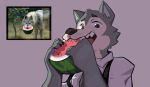  5_fingers anthro beastars biped canid canine canis claws clothed clothing eating eyebrows fangs fingers food fruit fur grey_body grey_fur hi_res holding_object legoshi_(beastars) looking_at_viewer male mammal melon multicolored_body multicolored_fur open_mouth plant rygel_spkb simple_background solo standing teeth tongue two_tone_body two_tone_fur watermelon wolf 