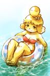  2020 animal_crossing anthro bikini blonde_hair breasts canid canine canis cleavage clothed clothing domestic_dog female fur hair inner_tube isabelle_(animal_crossing) kemono mammal nintendo partially_submerged setouchi_kurage solo swimwear video_games water yellow_body yellow_fur 