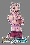  abs anthro badge boxer_briefs boxers_(clothing) brown_body brown_fur bulge canid canine canis clothed clothing crossed_arms d1rtyp4ws fur grin hi_res male mammal navel red_clothing red_eyes red_underwear simple_background smile solo standing tsaiwolf underwear white_body white_fur wolf 