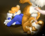  conker conker&#039;s_bad_fur_day furryratchet tagme 