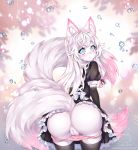  anthro anus black_thigh_highs blue_eyes blush butt clothed clothing clothing_lift domestic_cat dress dress_lift felid feline felis female fur genitals hair highlights_(coloring) inner_ear_fluff legwear looking_at_viewer looking_back maid_uniform mammal open_mouth panties panties_down pink_clothing pink_highlights pink_panties pink_underwear presenting presenting_anus presenting_hindquarters presenting_pussy pussy raindrops rear_view solo standing tekahika thigh_highs tuft underwear uniform white_body white_fur white_hair yuritehcat 