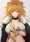  1girl animal animal_ears arknights black_choker black_coat blonde_hair blush breasts candy choker cleavage closed_mouth coat commentary english_text food fur-trimmed_coat fur_trim grey_background holding holding_animal jacket jacket_on_shoulders large_breasts lion lion_cub lion_ears lollipop long_hair looking_at_viewer mouth_hold nido_celisius on_lap open_clothes open_coat ponytail siege_(arknights) simple_background sitting solo studded_choker tank_top white_tank_top yellow_eyes 