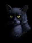  2020 black_body black_fur black_nose digital_media_(artwork) domestic_cat felid feline felis fur headshot_portrait hi_res jay-kuro mammal portrait whiskers yellow_eyes 