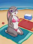  3:4 animal_humanoid anthro beach beach_towel bikini breasts clothing cooler detailed_background disney female fur hare hi_res humanoid judy_hopps kneeling lagomorph lagomorph_humanoid leporid leporid_humanoid looking_at_viewer mammal mammal_humanoid on_towel outside purple_eyes rabbit rabbit_humanoid sand seaside smaller_version_at_source smile smiling_at_viewer solo swimwear towel trex_b6 water zootopia 