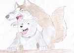  ginga_legend_weed ginga_nagareboshi_gin silver_fang tagme 