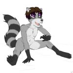  1:1 absurd_res anthro bluedmoka fur hi_res male mammal mapache nude procyonid raccoon sil_(character) teenager young 