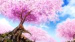 blonde_hair boots cherry_blossoms flowers hatschyuh long_hair original petals scenic spring tree 