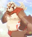  2020 anthro asian_clothing beach belly blush brown_body brown_fur bulge canid canine clothing east_asian_clothing fundoshi fur goemon_(tas) hi_res humanoid_hands japanese_clothing kemono male mammal moobs navel nipples outside overweight overweight_male raccoon_dog seaside solo tanuki tokyo_afterschool_summoners tsurugi underwear video_games 