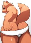  2020 absurd_res anthro belly brown_body brown_fur bulge butt canid canine canis clothing domestic_dog fur hi_res kemono male mammal moobs simple_background slightly_chubby solo underwear white_background yukio_ammy 