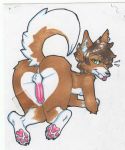  anthro canid canine canis domestic_dog male mammal paws shibyo traditional_media_(artwork) 