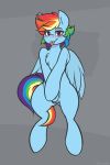  2:3 absurd_res blue_body blue_fur blush chest_tuft covering covering_crotch equid equine female feral friendship_is_magic fur hasbro hi_res mammal mane multicolored_mane multicolored_tail my_little_pony on_hind_legs pegasus rainbow_dash_(mlp) rainbow_mane rainbow_tail simple_background solo tongue tongue_out tuft whitepone wings 