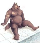 2020 anthro balls belly blush canid canine canis detailed_background domestic_dog eyes_closed flaccid genitals humanoid_hands kemono male mammal meguru_salmon moobs navel nipples overweight overweight_male penis sitting solo 