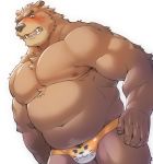  2020 anthro belly blush brown_body brown_fur bulge clothing fur hi_res humanoid_hands kemono male mammal moobs nipples overweight overweight_male seikeikei2015 simple_background solo underwear ursid white_background 