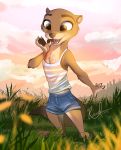  2020 absurd_res ambiguous_gender anthro barefoot black_nose bottomwear brown_body brown_eyes brown_fur cheek_tuft chest_tuft clothed clothing cloud detailed_background facial_tuft fully_clothed fur grass hi_res inner_ear_fluff light lighting lutrine mammal mustelid open_mouth open_smile relaxable relaxablefur shirt shorts signature sky smile solo standing tank_top teeth tongue topwear tuft 