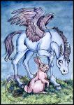  cybercat duo equid equine female female/female horse lagomorph leporid mammal mythology pasture pegasus rabbit simple_background sky wings 