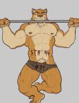  2017 abs absurd_res anthro barazoku barely_contained barely_visible_genitalia barely_visible_penis biceps big_biceps big_muscles bodily_fluids body_writing bulge ear_piercing ear_ring exercise fangs felid genitals grey_background hi_res machairodontine male mammal muscular muscular_anthro muscular_male navel nightterror nipples pecs penis piercing pj_saber pubes pull_ups simple_background solo sweat workout 