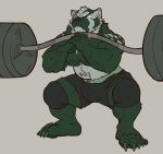 2017 absurd_res anthro badger barazoku barbell belly belt body_writing bottomwear bulge bursikbadger clothed clothing exercise grey_background hi_res knee_pads male mammal musclegut muscular muscular_anthro muscular_male mustelid musteline nightterror pecs puffed_cheeks shorts simple_background solo squats topless topless_male vein veiny_muscles weightlifting weights workout 