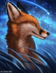  ambiguous_gender black_nose canid canine detailed_background eyes_closed feral flashw fox headshot_portrait mammal night outside portrait sky solo star starry_sky 