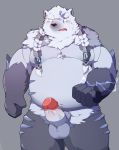  2020 absurd_res anthro balls black_nose blush cute_fangs erection fur genitals hi_res humanoid_genitalia humanoid_penis kemono league_of_legends male mammal overweight overweight_anthro overweight_male park_kr penis polar_bear riot_games simple_background solo ursid ursine video_games volibear white_body white_fur 