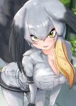  1girl akaisuto alternate_breast_size bangs belt bird_tail black_gloves black_hair blurry blurry_background bodystocking breast_pocket breast_squeeze breasts cleavage collarbone collared_shirt commentary_request day eyebrows_visible_through_hair gloves green_eyes grey_hair grey_shirt grey_shorts hair_between_eyes hair_intakes highres kemono_friends large_breasts leaning_forward long_hair long_sleeves looking_at_viewer multicolored_hair no_neckwear open_mouth orange_hair outdoors partially_unzipped pocket seductive_smile shiny shiny_hair shirt shoebill_(kemono_friends) short_over_long_sleeves short_sleeves shorts sidelocks smile solo standing tail wing_collar zipper 