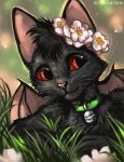  2020 black_body black_fur collar day detailed_background digital_media_(artwork) domestic_cat felid feline felis flashw fur grass hybrid mammal membrane_(anatomy) membranous_wings outside red_eyes smile wings 