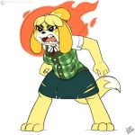  1:1 angry animal_crossing anthro belly big_belly breasts canid canine canis clothed clothing color_edit colored digital_media_(artwork) domestic_dog drxii edit fangs female fire fur hair hi_res isabelle_(animal_crossing) mammal nintendo open_mouth pregnant shih_tzu simple_background solo teeth torn_clothing toy_dog video_games yellow_body yellow_fur 